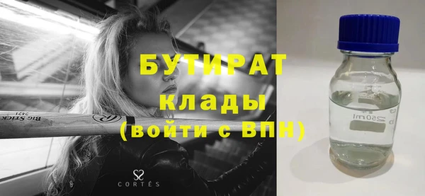 прущие грибы Гатчина