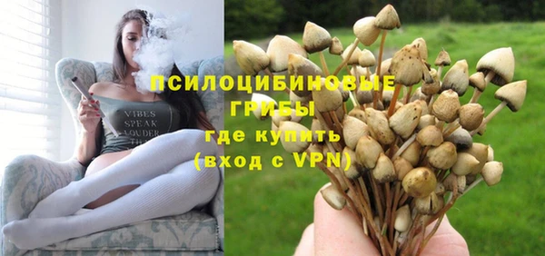 сатива Алексин