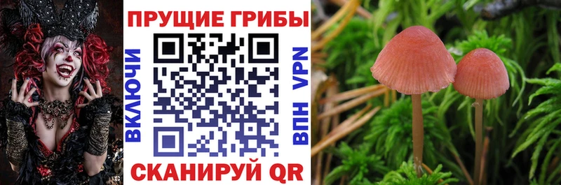 Псилоцибиновые грибы ЛСД Сорочинск