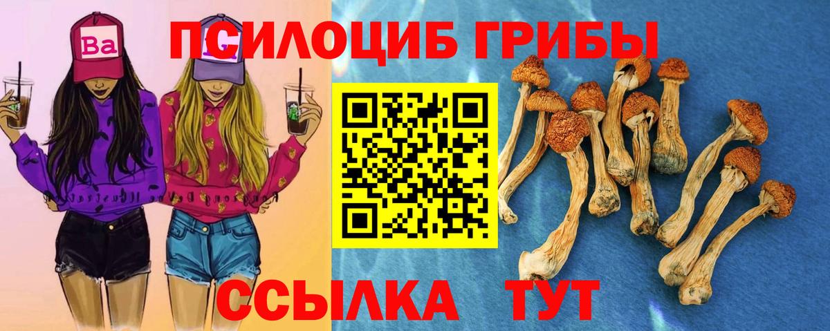 Сорочинск  Псилоцибиновые грибы мухоморы  Вход с VPN 